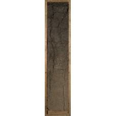 Агрочернозем миграционно-мицелярный Агрочернозем миграционно-мицелярный