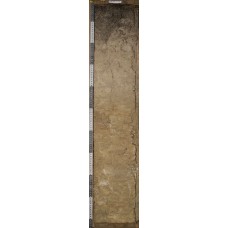 Дерново-элювиально-метаморфическая глееватая Дерново-элювиально-метаморфическая глееватая