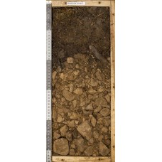 Торфяно-подбур Торфяно-подбур