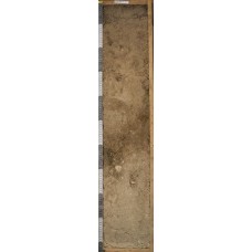 Бурозем Бурозем