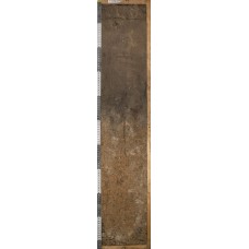 Агросерая со вторым гумусовым горизонтом Агросерая со вторым гумусовым горизонтом