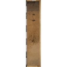 Агрозем альфегумусовый постагрогенный Агрозем альфегумусовый постагрогенный