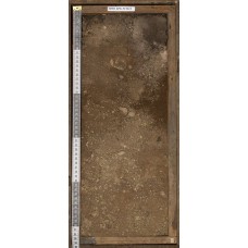 Подбур оподзоленный Подбур оподзоленный