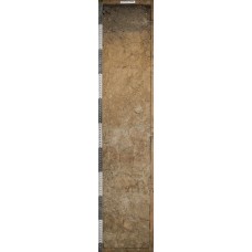 Бурозем оподзоленный глееватый Бурозем оподзоленный глееватый