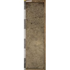 Криометаморфическая или грубогумусовая Криометаморфическая или грубогумусовая