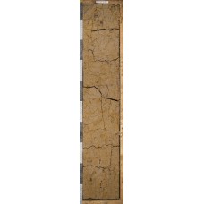 Дерново-среднеподзолистая (Второй метр) Дерново-среднеподзолистая (Второй метр)