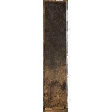 Чернозем миграционно-мицелярный Чернозем миграционно-мицелярный