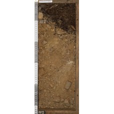 Подзол торфянистый с гумусово-железисто-иллювиальным горизонтом Подзол торфянистый с гумусово-железисто-иллювиальным горизонтом