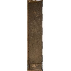 Коричневая темная суглинистая Коричневая темная суглинистая