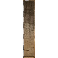 Чернозем солонцеватый солончаковатый Чернозем солонцеватый солончаковатый