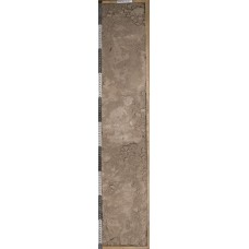 Сероземно-луговая на ирригационном наносе Сероземно-луговая на ирригационном наносе