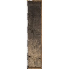 Солонец темный гидрометаморфизованный Солонец темный гидрометаморфизованный