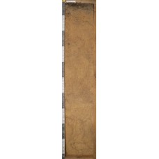 Подбур иллювиально-железистый Подбур иллювиально-железистый