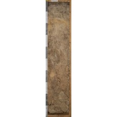 Среднеподзолистая с контактным осветлением супесчаная Среднеподзолистая с контактным осветлением супесчаная