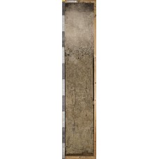 Дерново-подзолистая глеевая Дерново-подзолистая глеевая