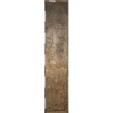 Серая Серая