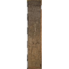 Серая Серая