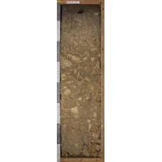 Желтозем на делювии сланца и известняка Желтозем на делювии сланца и известняка