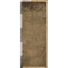 Серогумусовая Серогумусовая