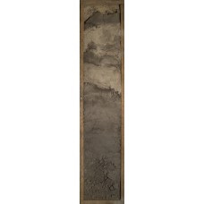 Аллювиальная темногумусовая глеевая Аллювиальная темногумусовая глеевая