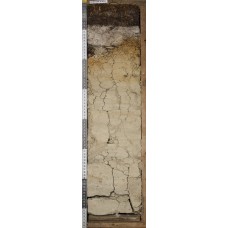 Подзол иллювиально-железистый Подзол иллювиально-железистый