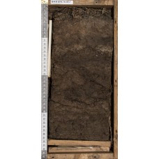 Торфяная слоисто-аллювиальная Торфяная слоисто-аллювиальная