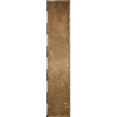 Бурая Бурая