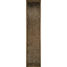 Дерново-элювиально-метаморфическая Дерново-элювиально-метаморфическая