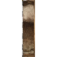 Подзол иллювиально-гумусовый глеевый Подзол иллювиально-гумусовый глеевый