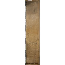 Агродерново-подзол иллювиально-железистый Агродерново-подзол иллювиально-железистый