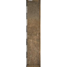 Агрозем текстурно-дифференцированный глееватый остаточно-карбонатный Агрозем текстурно-дифференцированный глееватый остаточно-карбонатный