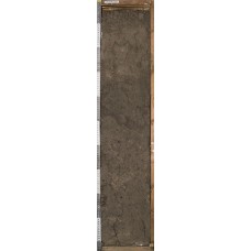 Чернозем выщелоченный мощный пылевато-суглинистый Чернозем выщелоченный мощный пылевато-суглинистый