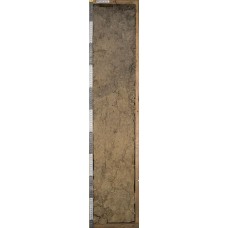 Серая лесная Серая лесная