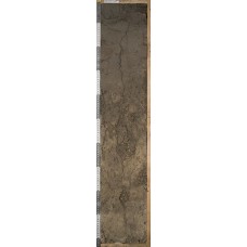 Чернозем глинисто-иллювиальный Чернозем глинисто-иллювиальный