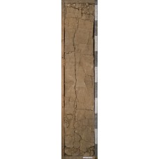 Чернозем южный (Второй метр) Чернозем южный (Второй метр)