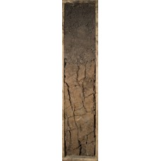 Темно-серая Темно-серая