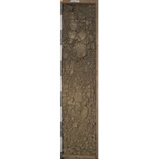 Чернозем Чернозем