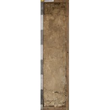 Бурая пустынно-степная Бурая пустынно-степная