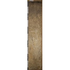 Агрозем окисленно-глеевый реградированный Агрозем окисленно-глеевый реградированный