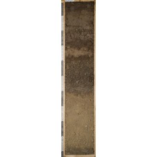 Слоисто-пепловая Слоисто-пепловая