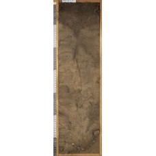 Криозем грубогумусовый Криозем грубогумусовый