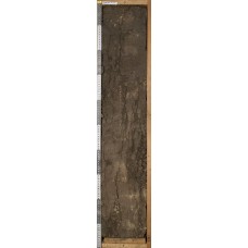 Чернозем миграционно-мицелярный Чернозем миграционно-мицелярный