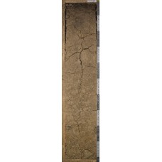 Бурозем Бурозем