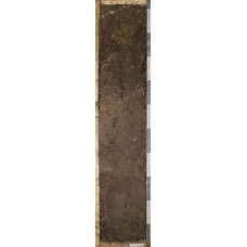 Темногумусовая темнопрофильная Темногумусовая темнопрофильная