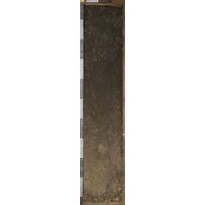 Чернозем обыкновенный Чернозем обыкновенный