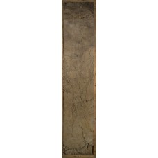 Агроглеезем криометаморфический гетерогенный криотурбированный Агроглеезем криометаморфический гетерогенный криотурбированный