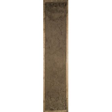 дерново-аллювиальная дерново-аллювиальная