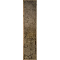 Серая лесная на олигоценовых отложениях Серая лесная на олигоценовых отложениях