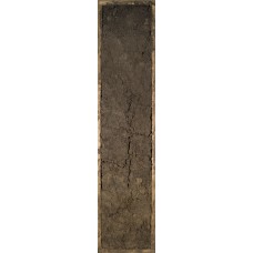 Темносерая Темносерая