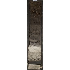 Торфяно-глеевая Торфяно-глеевая